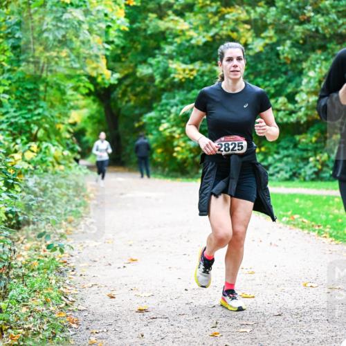 12.10.2025 - Bramfelder Halbmarathon 2025 Dr. Thomas Lammeyer http://msf.ph/oto/9350266 12.10.2025 10:33:26 Laufen 2825, 2702 meine-sportfotos.de