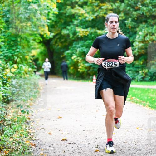12.10.2025 - Bramfelder Halbmarathon 2025 Dr. Thomas Lammeyer http://msf.ph/oto/9350268 12.10.2025 10:33:26 Laufen 2825, 27 meine-sportfotos.de