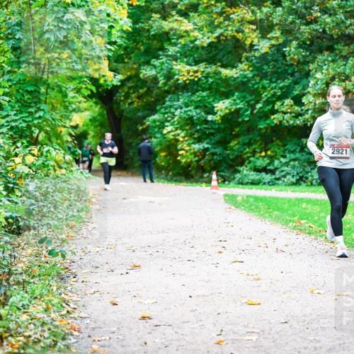 12.10.2025 - Bramfelder Halbmarathon 2025 Dr. Thomas Lammeyer http://msf.ph/oto/9350287 12.10.2025 10:33:36 Laufen 2921 meine-sportfotos.de
