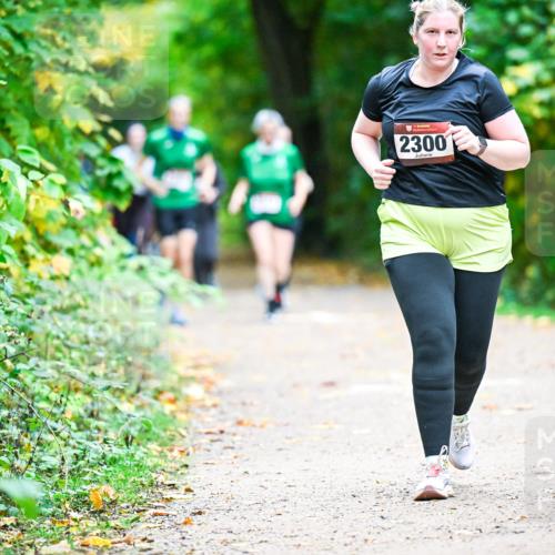 12.10.2025 - Bramfelder Halbmarathon 2025 Dr. Thomas Lammeyer http://msf.ph/oto/9350299 12.10.2025 10:33:42 Laufen 2300 meine-sportfotos.de