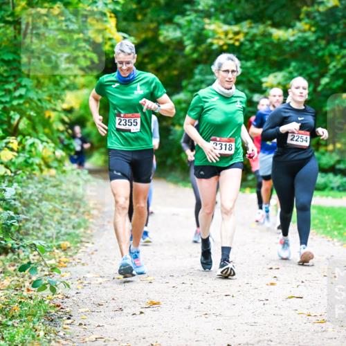 12.10.2025 - Bramfelder Halbmarathon 2025 Dr. Thomas Lammeyer http://msf.ph/oto/9350366 12.10.2025 10:33:54 Laufen 2355, 2318, 2254 meine-sportfotos.de