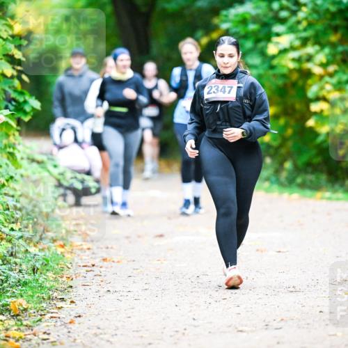 12.10.2025 - Bramfelder Halbmarathon 2025 Dr. Thomas Lammeyer http://msf.ph/oto/9350464 12.10.2025 10:34:16 Laufen 2347 meine-sportfotos.de