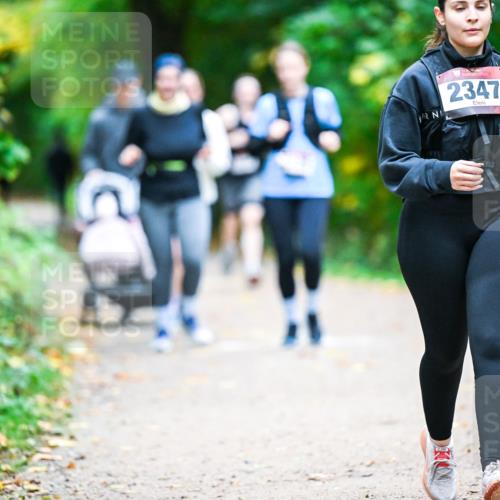 12.10.2025 - Bramfelder Halbmarathon 2025 Dr. Thomas Lammeyer http://msf.ph/oto/9350483 12.10.2025 10:34:19 Laufen 2347 meine-sportfotos.de