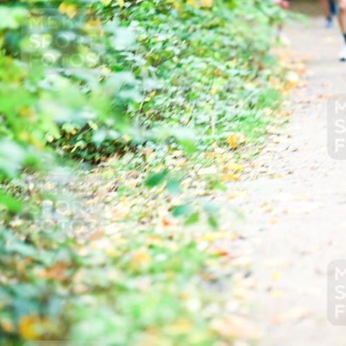 12.10.2025 - Bramfelder Halbmarathon 2025 Dr. Thomas Lammeyer http://msf.ph/oto/9350607 12.10.2025 10:34:52 Laufen  meine-sportfotos.de