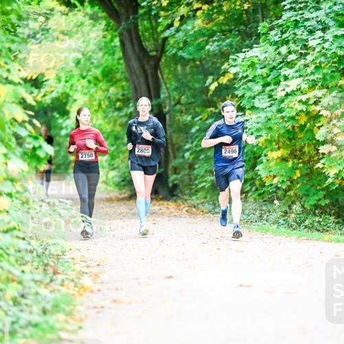 12.10.2025 - Bramfelder Halbmarathon 2025 Dr. Thomas Lammeyer http://msf.ph/oto/9350651 12.10.2025 10:35:16 Laufen 2750, 2809, 2496 meine-sportfotos.de