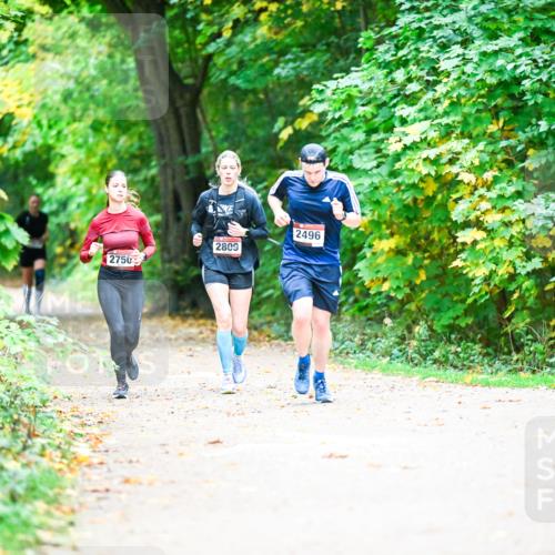 12.10.2025 - Bramfelder Halbmarathon 2025 Dr. Thomas Lammeyer http://msf.ph/oto/9350663 12.10.2025 10:35:17 Laufen 2750, 2809, 2496 meine-sportfotos.de