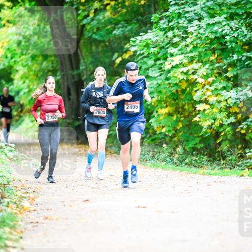 12.10.2025 - Bramfelder Halbmarathon 2025 Dr. Thomas Lammeyer http://msf.ph/oto/9350664 12.10.2025 10:35:18 Laufen 2750, 2809, 2496 meine-sportfotos.de