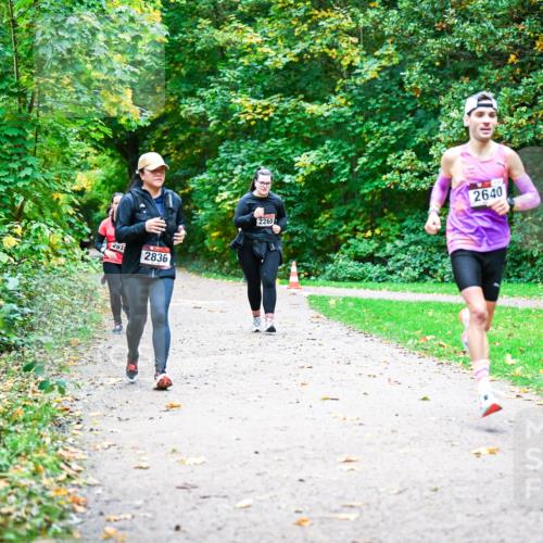 12.10.2025 - Bramfelder Halbmarathon 2025 Dr. Thomas Lammeyer http://msf.ph/oto/9350866 12.10.2025 10:36:14 Laufen 291, 2836, 2265, 2640 meine-sportfotos.de