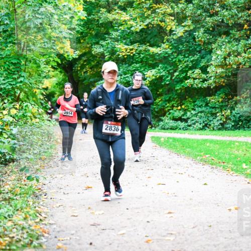 12.10.2025 - Bramfelder Halbmarathon 2025 Dr. Thomas Lammeyer http://msf.ph/oto/9350871 12.10.2025 10:36:15 Laufen 2914, 2836, 226 meine-sportfotos.de