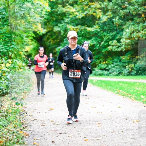 12.10.2025 - Bramfelder Halbmarathon 2025 Dr. Thomas Lammeyer http://msf.ph/oto/9350874 12.10.2025 10:36:16 Laufen 2914, 2836 meine-sportfotos.de
