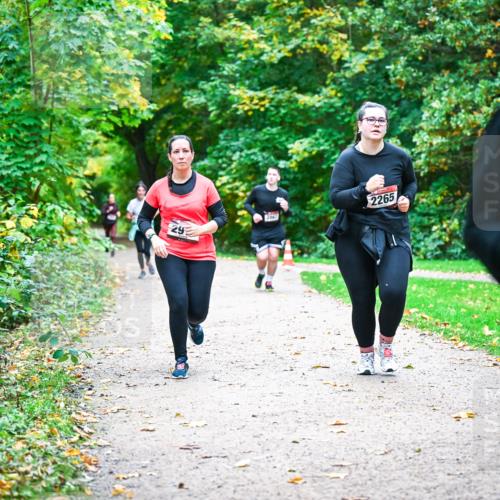 12.10.2025 - Bramfelder Halbmarathon 2025 Dr. Thomas Lammeyer http://msf.ph/oto/9350885 12.10.2025 10:36:18 Laufen 29, 2265, 28 meine-sportfotos.de