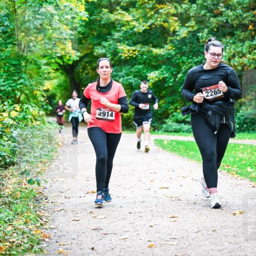 12.10.2025 - Bramfelder Halbmarathon 2025 Dr. Thomas Lammeyer http://msf.ph/oto/9350889 12.10.2025 10:36:18 Laufen 2265, 2914 meine-sportfotos.de
