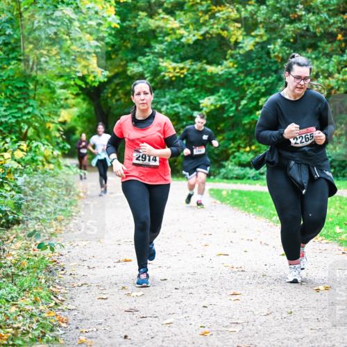 12.10.2025 - Bramfelder Halbmarathon 2025 Dr. Thomas Lammeyer http://msf.ph/oto/9350890 12.10.2025 10:36:18 Laufen 2265, 2914 meine-sportfotos.de