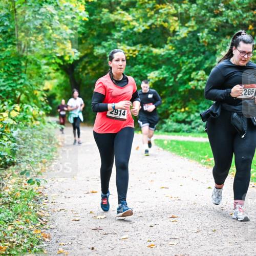 12.10.2025 - Bramfelder Halbmarathon 2025 Dr. Thomas Lammeyer http://msf.ph/oto/9350892 12.10.2025 10:36:18 Laufen 265, 2914 meine-sportfotos.de