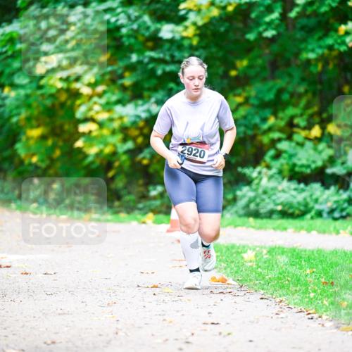 12.10.2025 - Bramfelder Halbmarathon 2025 Dr. Thomas Lammeyer http://msf.ph/oto/9351243 12.10.2025 10:38:22 Laufen 919, 2920 meine-sportfotos.de