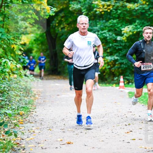 12.10.2025 - Bramfelder Halbmarathon 2025 Dr. Thomas Lammeyer http://msf.ph/oto/9351510 12.10.2025 10:39:21 Laufen 2895 meine-sportfotos.de