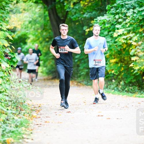 12.10.2025 - Bramfelder Halbmarathon 2025 Dr. Thomas Lammeyer http://msf.ph/oto/9351676 12.10.2025 10:40:04 Laufen 293, 2465 meine-sportfotos.de