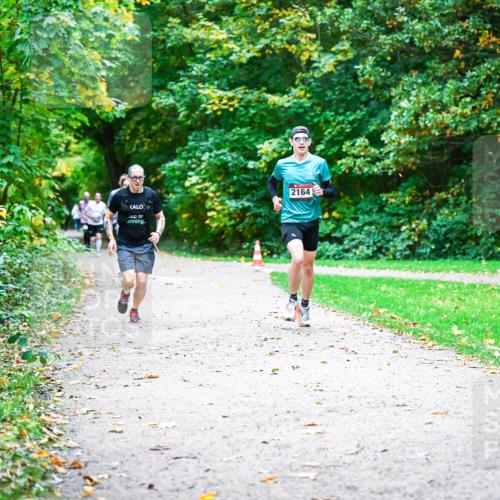 12.10.2025 - Bramfelder Halbmarathon 2025 Dr. Thomas Lammeyer http://msf.ph/oto/9352302 12.10.2025 10:43:07 Laufen 2164 meine-sportfotos.de
