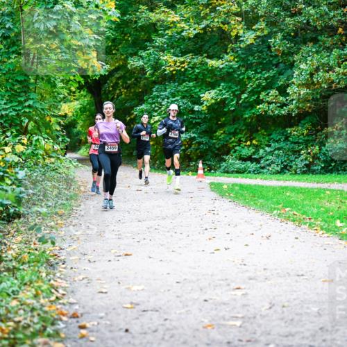 12.10.2025 - Bramfelder Halbmarathon 2025 Dr. Thomas Lammeyer http://msf.ph/oto/9352366 12.10.2025 10:43:26 Laufen 2766, 2197, 249, 2459 meine-sportfotos.de