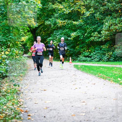 12.10.2025 - Bramfelder Halbmarathon 2025 Dr. Thomas Lammeyer http://msf.ph/oto/9352368 12.10.2025 10:43:26 Laufen 2459, 2197, 2766 meine-sportfotos.de