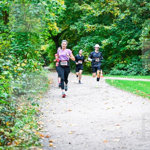 12.10.2025 - Bramfelder Halbmarathon 2025 Dr. Thomas Lammeyer http://msf.ph/oto/9352370 12.10.2025 10:43:27 Laufen 2459, 2197, 2766 meine-sportfotos.de