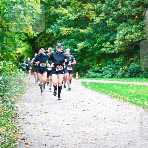 12.10.2025 - Bramfelder Halbmarathon 2025 Dr. Thomas Lammeyer http://msf.ph/oto/9352635 12.10.2025 10:44:20 Laufen 2438, 649, 2897, 2184 meine-sportfotos.de