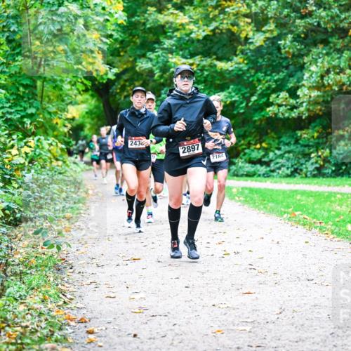 12.10.2025 - Bramfelder Halbmarathon 2025 Dr. Thomas Lammeyer http://msf.ph/oto/9352643 12.10.2025 10:44:21 Laufen 243, 2897, 2184 meine-sportfotos.de