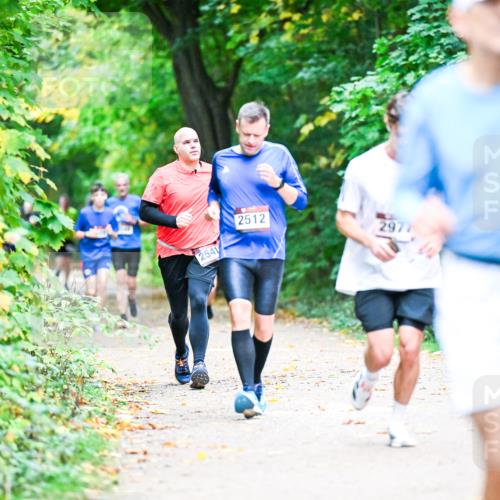 12.10.2025 - Bramfelder Halbmarathon 2025 Dr. Thomas Lammeyer http://msf.ph/oto/9353436 12.10.2025 10:46:59 Laufen 2541, 2512, 2977 meine-sportfotos.de