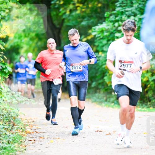 12.10.2025 - Bramfelder Halbmarathon 2025 Dr. Thomas Lammeyer http://msf.ph/oto/9353442 12.10.2025 10:47:00 Laufen 254, 2512, 2977 meine-sportfotos.de