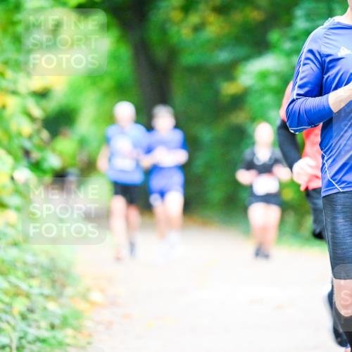 12.10.2025 - Bramfelder Halbmarathon 2025 Dr. Thomas Lammeyer http://msf.ph/oto/9353469 12.10.2025 10:47:04 Laufen 2512 meine-sportfotos.de