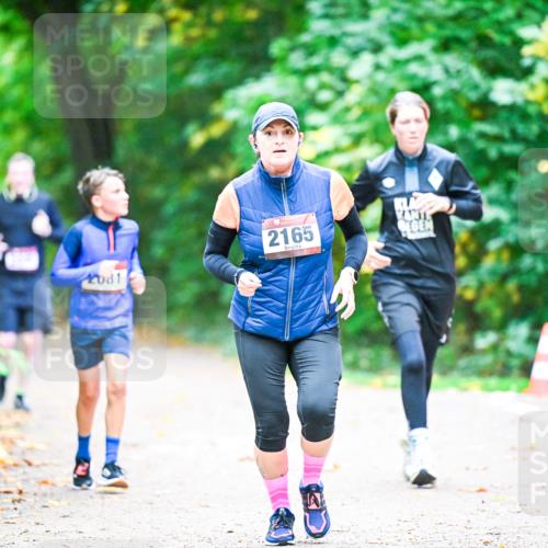 12.10.2025 - Bramfelder Halbmarathon 2025 Dr. Thomas Lammeyer http://msf.ph/oto/9353561 12.10.2025 10:47:19 Laufen 2165, 081 meine-sportfotos.de