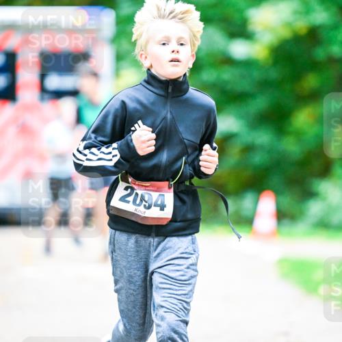12.10.2025 - Bramfelder Halbmarathon 2025 Dr. Thomas Lammeyer http://msf.ph/oto/9353619 12.10.2025 10:47:39 Laufen 2094 meine-sportfotos.de