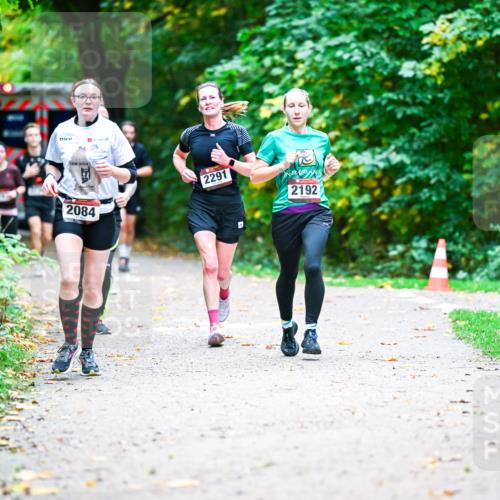 12.10.2025 - Bramfelder Halbmarathon 2025 Dr. Thomas Lammeyer http://msf.ph/oto/9353691 12.10.2025 10:47:55 Laufen 2084, 2291, 2192 meine-sportfotos.de