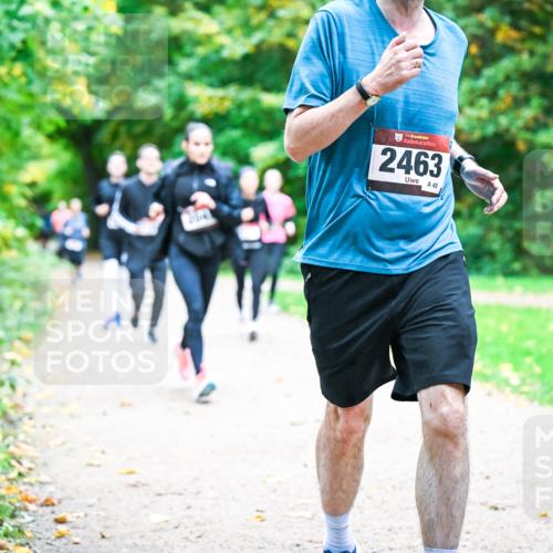 12.10.2025 - Bramfelder Halbmarathon 2025 Dr. Thomas Lammeyer http://msf.ph/oto/9354751 12.10.2025 10:51:18 Laufen 34, 2463, 49 meine-sportfotos.de