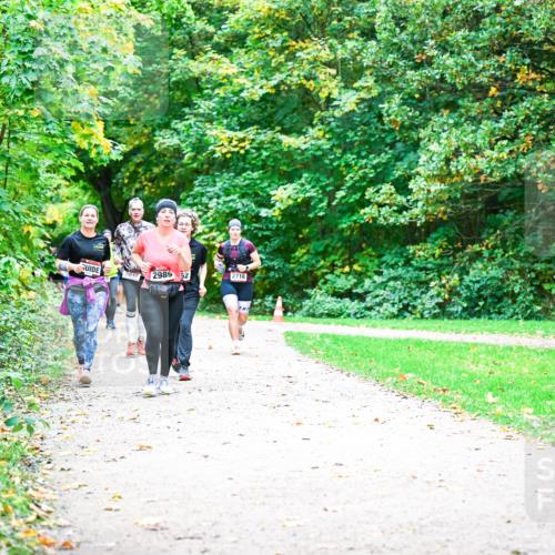 12.10.2025 - Bramfelder Halbmarathon 2025 Dr. Thomas Lammeyer http://msf.ph/oto/9355116 12.10.2025 10:52:44 Laufen 2032, 2989, 2, 2716 meine-sportfotos.de