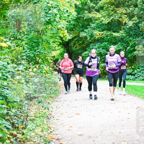 12.10.2025 - Bramfelder Halbmarathon 2025 Dr. Thomas Lammeyer http://msf.ph/oto/9355529 12.10.2025 10:54:04 Laufen 20, 2146, 2276, 2017, 2033, 246 meine-sportfotos.de