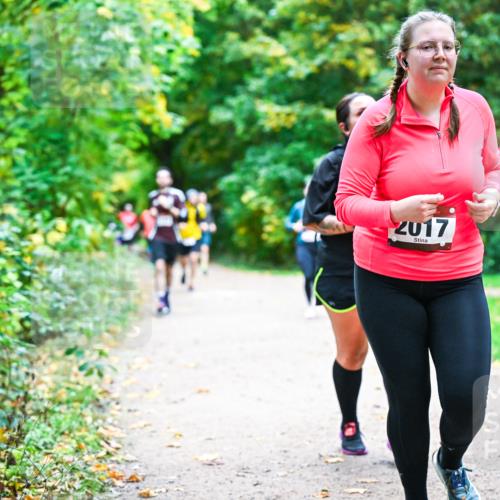 12.10.2025 - Bramfelder Halbmarathon 2025 Dr. Thomas Lammeyer http://msf.ph/oto/9355565 12.10.2025 10:54:10 Laufen 2017, 89 meine-sportfotos.de