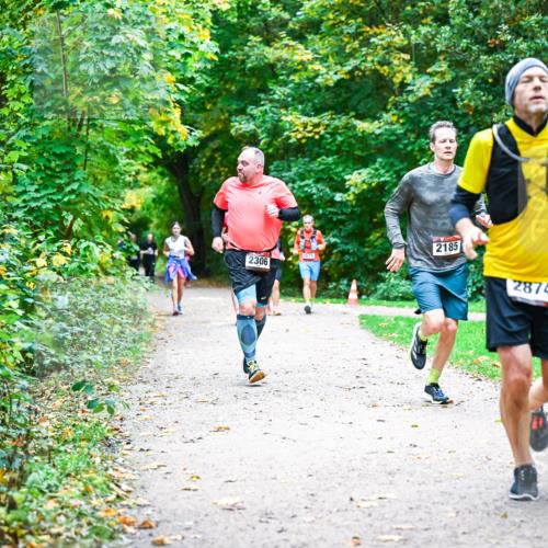 12.10.2025 - Bramfelder Halbmarathon 2025 Dr. Thomas Lammeyer http://msf.ph/oto/9355614 12.10.2025 10:54:17 Laufen 2185, 2306, 2874 meine-sportfotos.de
