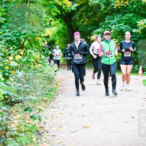 12.10.2025 - Bramfelder Halbmarathon 2025 Dr. Thomas Lammeyer http://msf.ph/oto/9355963 12.10.2025 10:55:24 Laufen 2629, 2995, 2923 meine-sportfotos.de