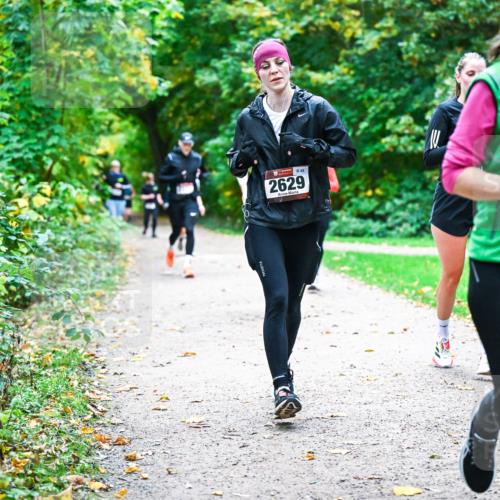 12.10.2025 - Bramfelder Halbmarathon 2025 Dr. Thomas Lammeyer http://msf.ph/oto/9355991 12.10.2025 10:55:28 Laufen 49, 2629, 2995 meine-sportfotos.de
