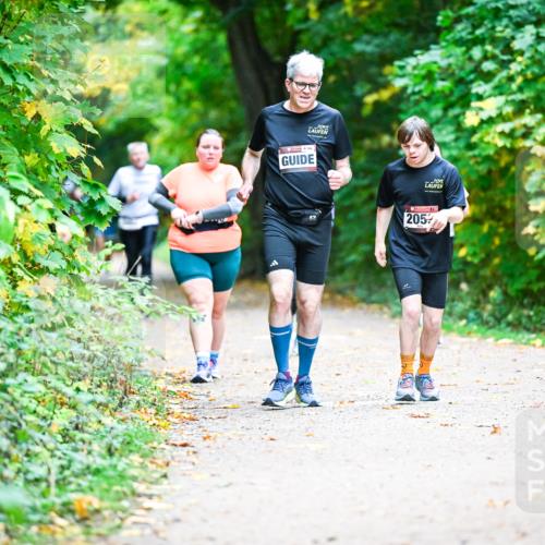 12.10.2025 - Bramfelder Halbmarathon 2025 Dr. Thomas Lammeyer http://msf.ph/oto/9356189 12.10.2025 10:56:15 Laufen 154, 2053 meine-sportfotos.de