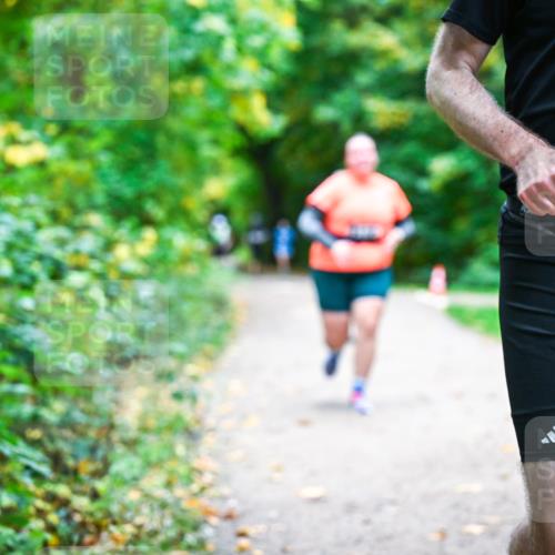 12.10.2025 - Bramfelder Halbmarathon 2025 Dr. Thomas Lammeyer http://msf.ph/oto/9356254 12.10.2025 10:56:26 Laufen 34, 154 meine-sportfotos.de