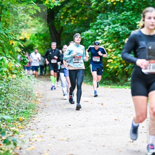 12.10.2025 - Bramfelder Halbmarathon 2025 Dr. Thomas Lammeyer http://msf.ph/oto/9356610 12.10.2025 10:58:13 Laufen 3, 443, 2407, 2496, 785 meine-sportfotos.de