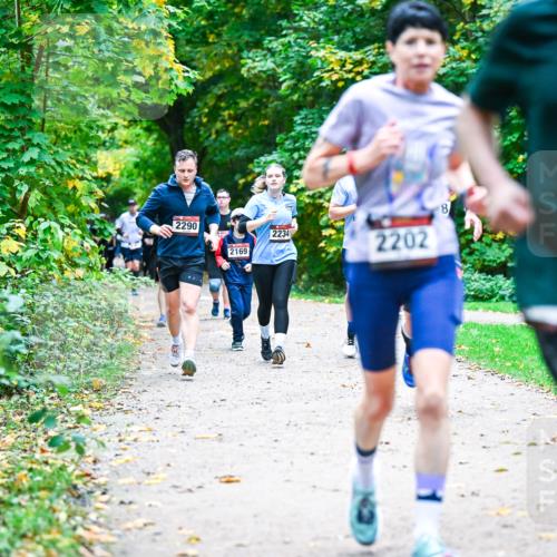 12.10.2025 - Bramfelder Halbmarathon 2025 Dr. Thomas Lammeyer http://msf.ph/oto/9356784 12.10.2025 10:58:47 Laufen 2290, 2169, 2234, 2202, 8 meine-sportfotos.de