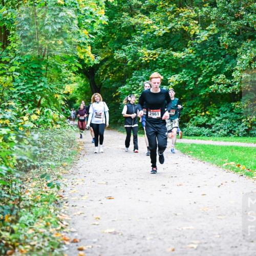 12.10.2025 - Bramfelder Halbmarathon 2025 Dr. Thomas Lammeyer http://msf.ph/oto/9356928 12.10.2025 10:59:16 Laufen  meine-sportfotos.de