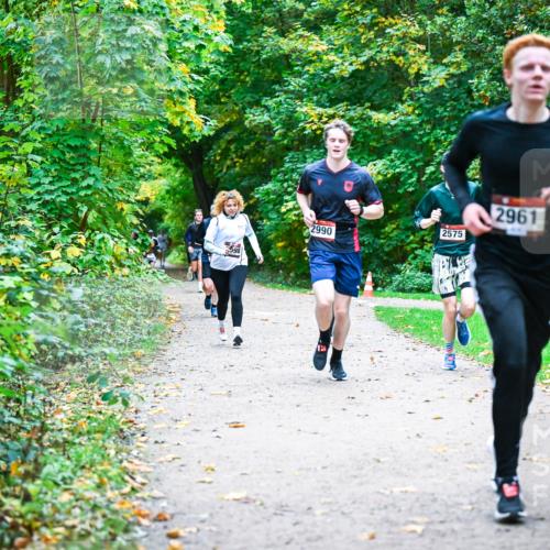 12.10.2025 - Bramfelder Halbmarathon 2025 Dr. Thomas Lammeyer http://msf.ph/oto/9356941 12.10.2025 10:59:18 Laufen 98, 2990, 2575, 2961 meine-sportfotos.de