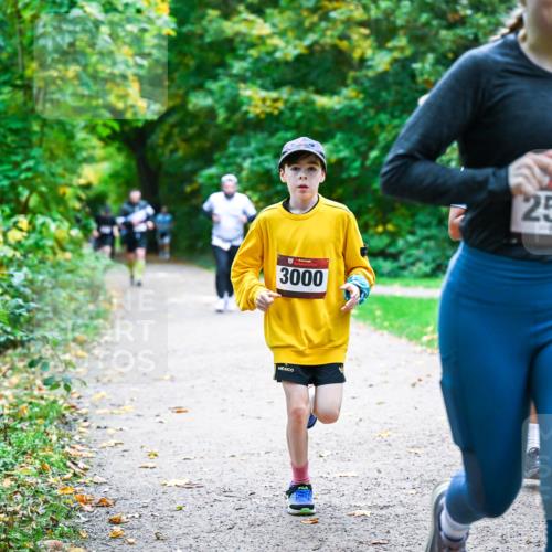 12.10.2025 - Bramfelder Halbmarathon 2025 Dr. Thomas Lammeyer http://msf.ph/oto/9357232 12.10.2025 11:00:08 Laufen 3000, 2594 meine-sportfotos.de