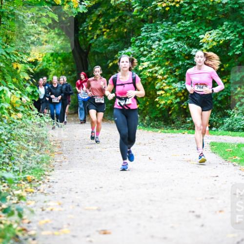 12.10.2025 - Bramfelder Halbmarathon 2025 Dr. Thomas Lammeyer http://msf.ph/oto/9357553 12.10.2025 11:01:23 Laufen 2295, 2414, 266, 74 meine-sportfotos.de