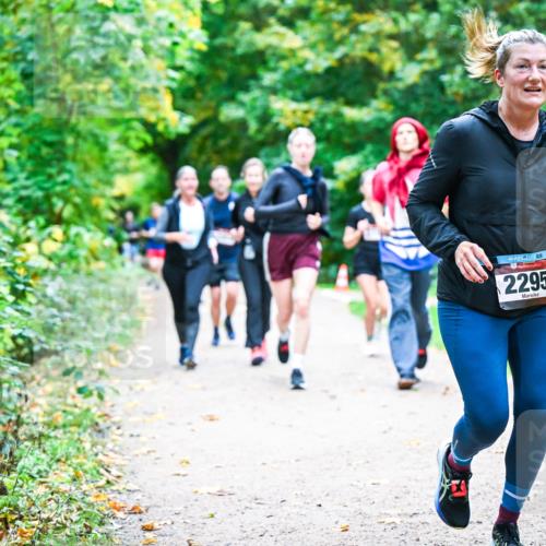 12.10.2025 - Bramfelder Halbmarathon 2025 Dr. Thomas Lammeyer http://msf.ph/oto/9357627 12.10.2025 11:01:35 Laufen 2295 meine-sportfotos.de