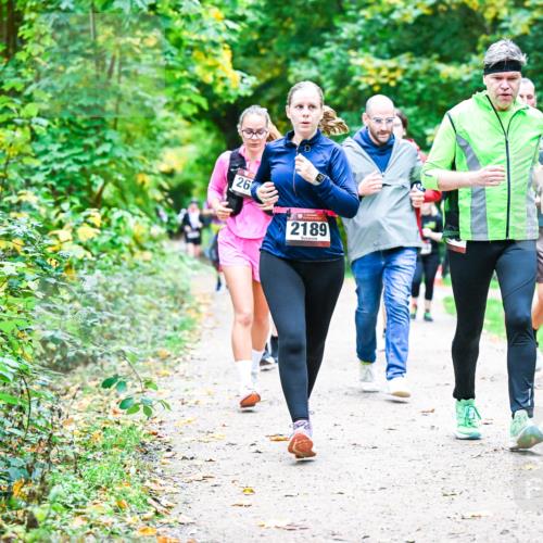 12.10.2025 - Bramfelder Halbmarathon 2025 Dr. Thomas Lammeyer http://msf.ph/oto/9358056 12.10.2025 11:03:02 Laufen 26, 2189 meine-sportfotos.de
